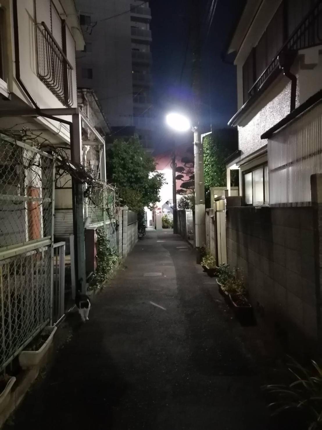 Tokyo Downtown Bed and Breakfast Eksteriør billede